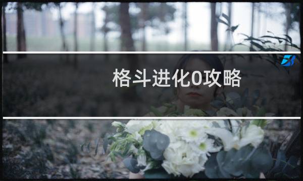 格斗进化0攻略