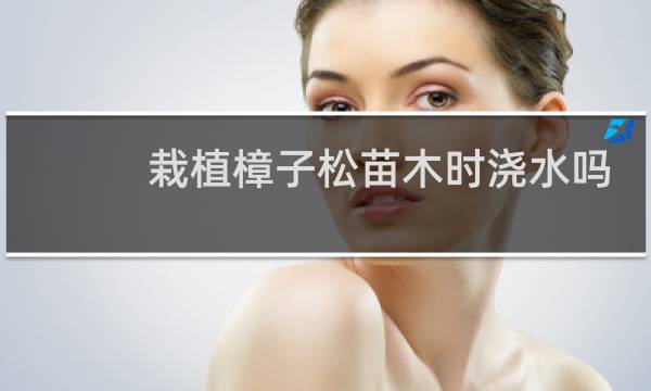 栽植樟子松苗木时浇水吗