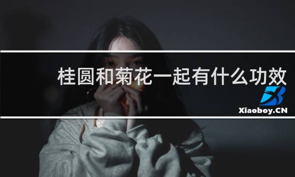 桂圆和菊花一起有什么功效