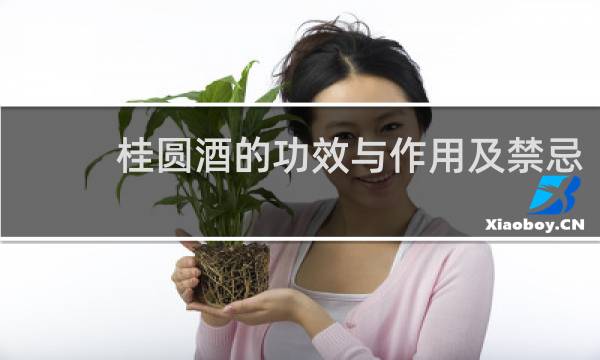 桂圆酒的功效与作用及禁忌