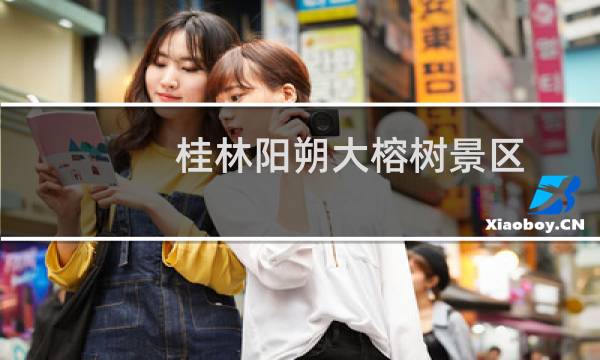 桂林陽朔大榕樹景區(qū)