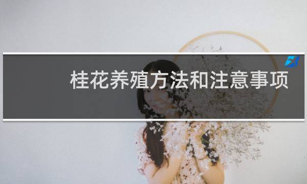 桂花养殖方法和注意事项