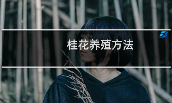 桂花养殖方法