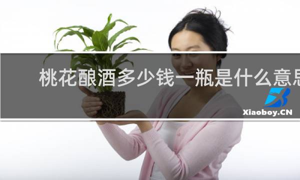 桃花酿酒多少钱一瓶是什么意思