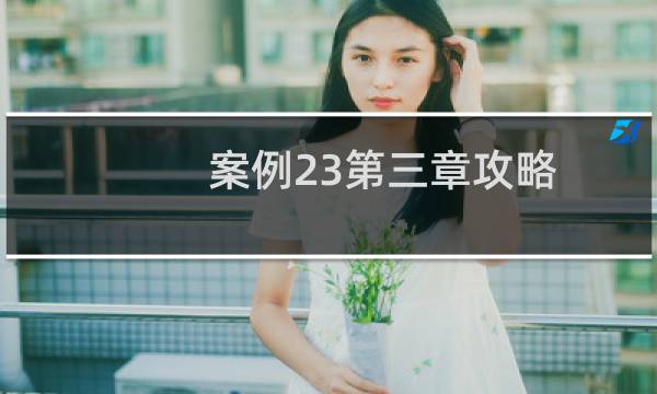 案例23第三章攻略