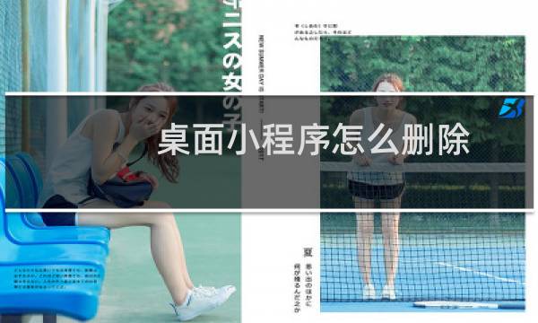 桌面小程序怎么删除