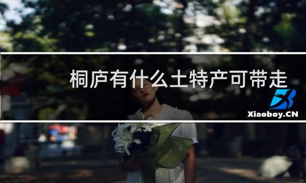 桐庐有什么土特产可带走
