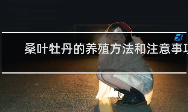 桑叶牡丹的养殖方法和注意事项