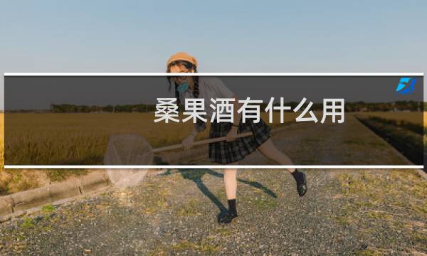 桑果酒有什么用