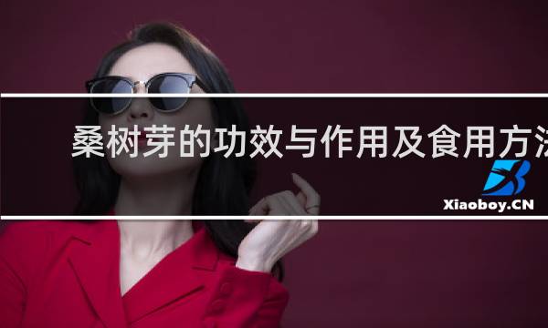 桑树芽的功效与作用及食用方法
