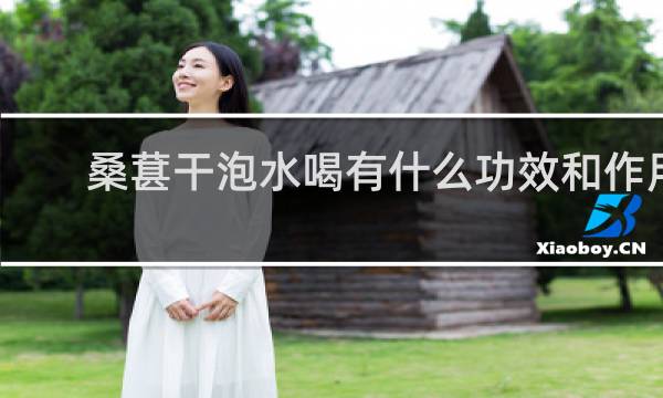 桑葚干泡水喝有什么功效和作用