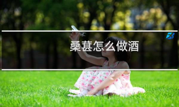 桑葚怎么做酒