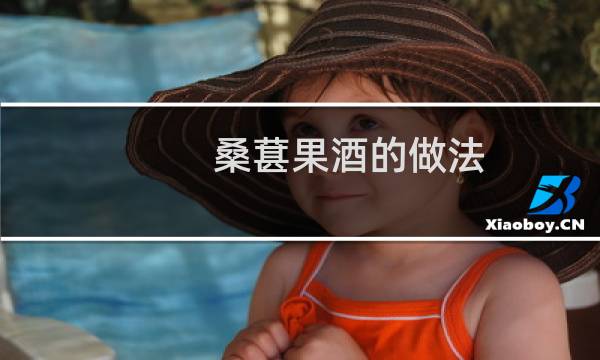 桑葚果酒的做法