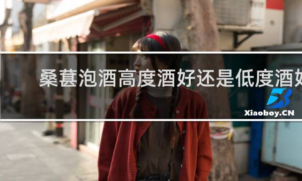 桑葚泡酒高度酒好还是低度酒好