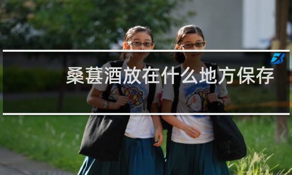 桑葚酒放在什么地方保存