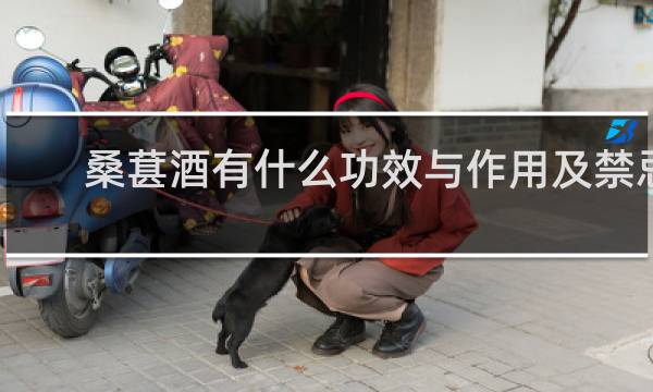 桑葚酒有什么功效与作用及禁忌