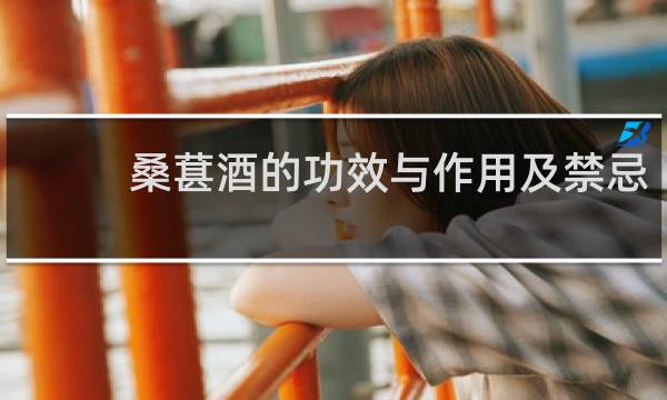 桑葚酒的功效与作用及禁忌 食用方法