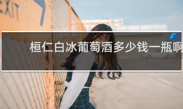 桓仁白冰葡萄酒多少钱一瓶啊