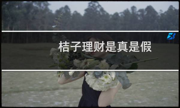 桔子理财是真是假