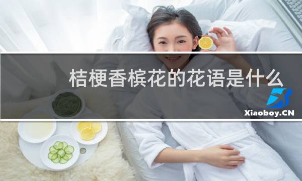 桔梗香槟花的花语是什么?