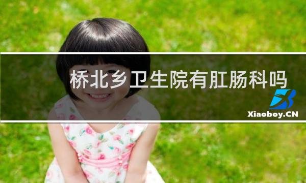 桥北乡卫生院有肛肠科吗