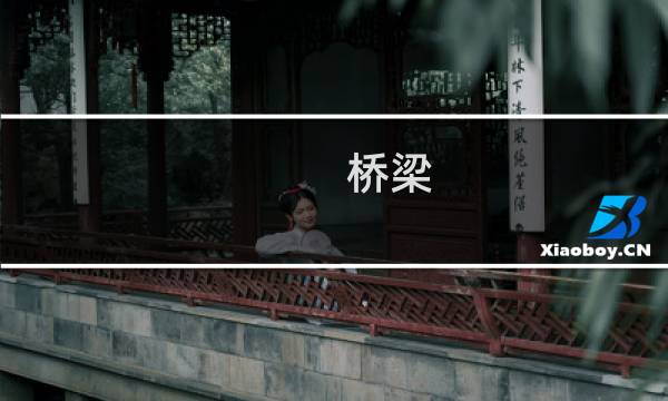 桥梁 攻略图