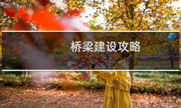 桥梁建设攻略