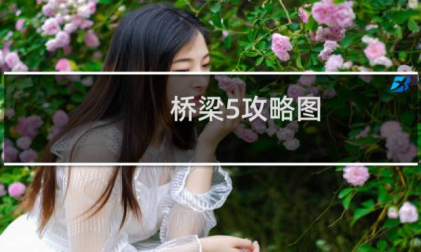 桥梁5攻略图