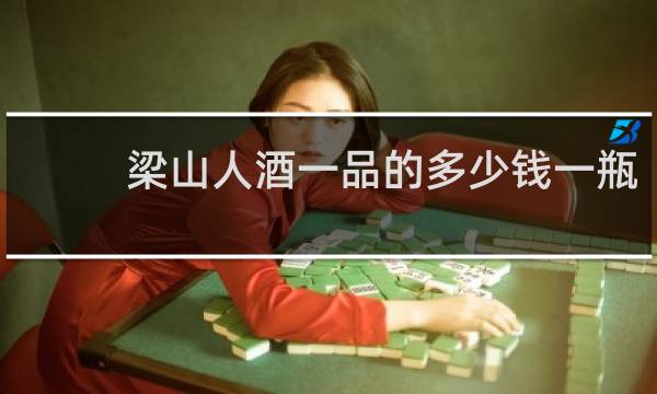 梁山人酒一品的多少钱一瓶