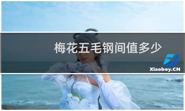 梅花五毛钢间值多少