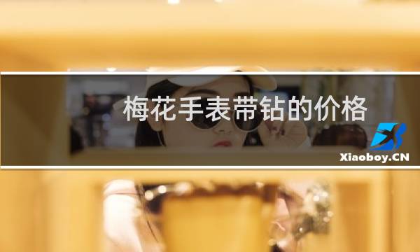 梅花手表带钻的价格