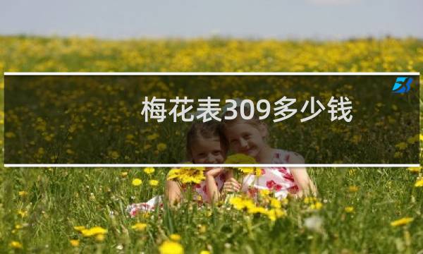 梅花表309多少钱