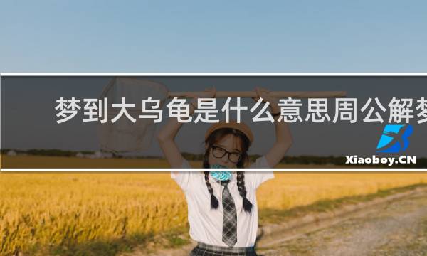 梦到大乌龟是什么意思周公解梦