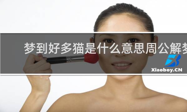 梦到好多猫是什么意思周公解梦