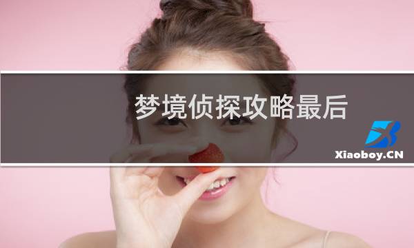 梦境侦探攻略最后