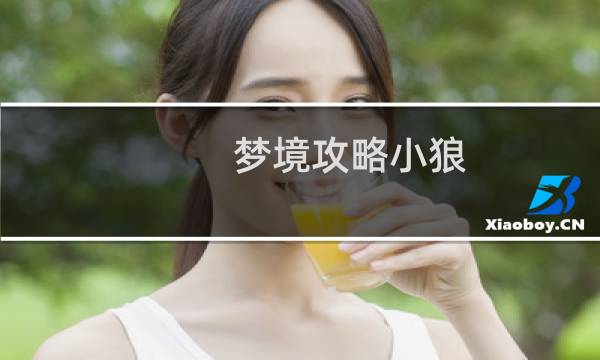 梦境攻略小狼