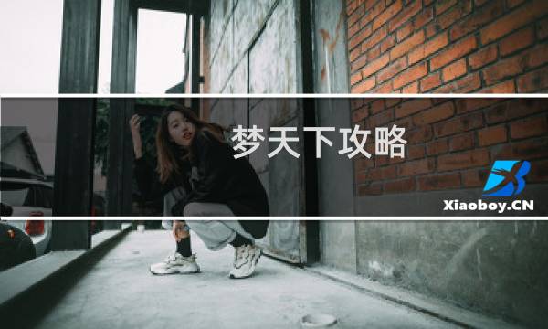 梦天下攻略