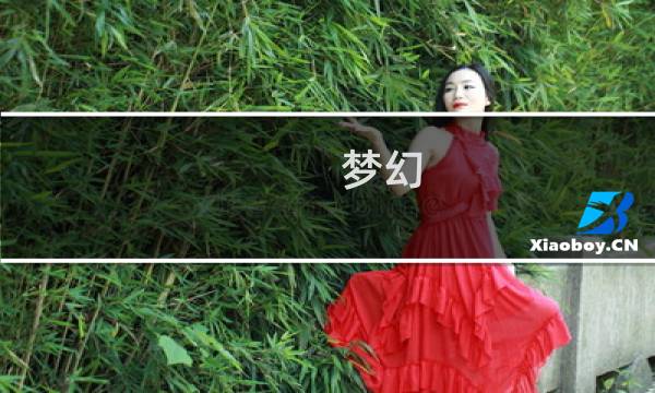 梦幻 星 攻略