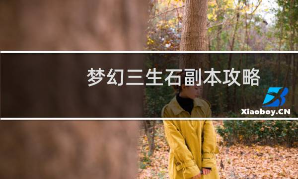 梦幻三生石副本攻略