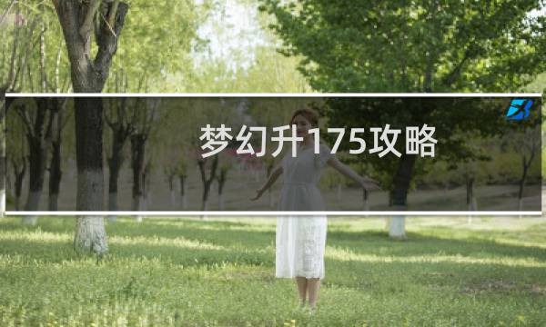 梦幻升175攻略