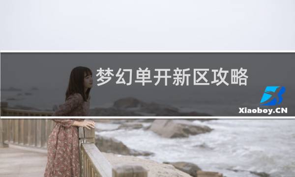 梦幻单开新区攻略