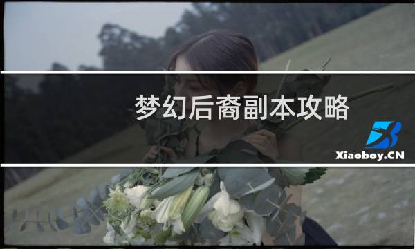 梦幻后裔副本攻略