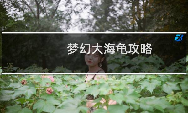 梦幻大海龟攻略