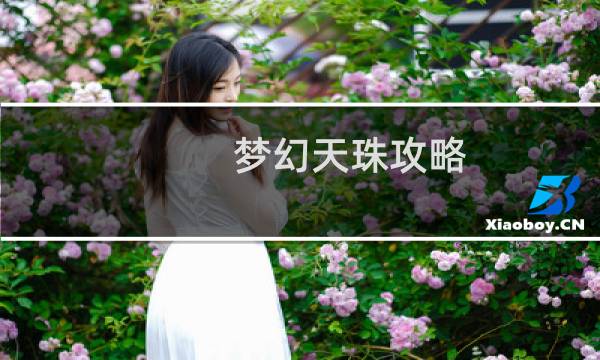 梦幻天珠攻略