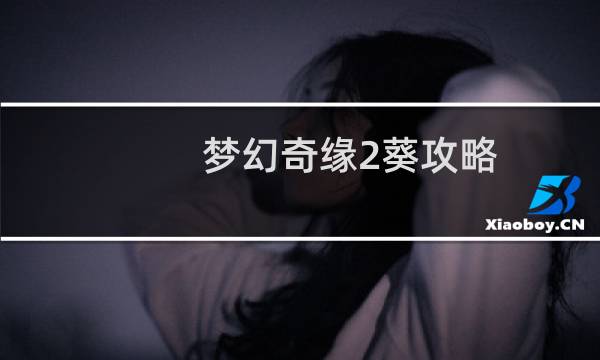 梦幻奇缘2葵攻略