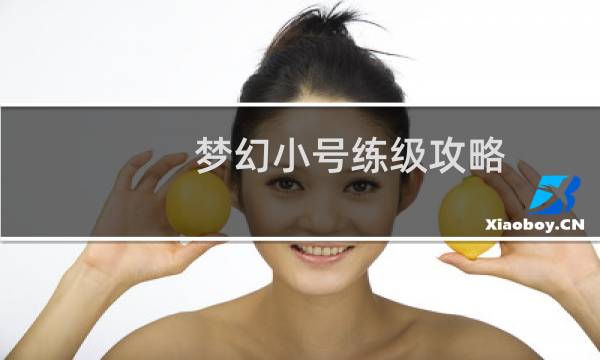梦幻小号练级攻略