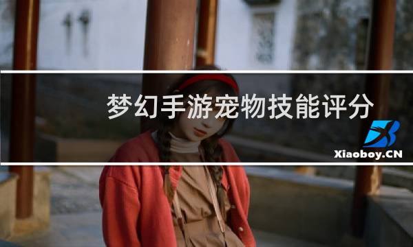 梦幻手游宠物技能评分