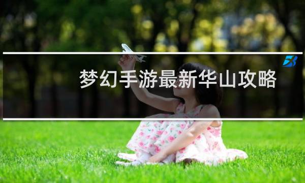 梦幻手游最新华山攻略