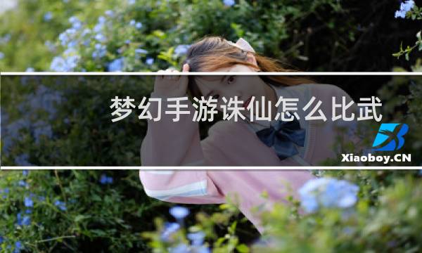 梦幻手游诛仙怎么比武
