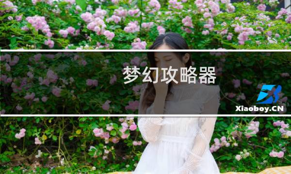 梦幻攻略器